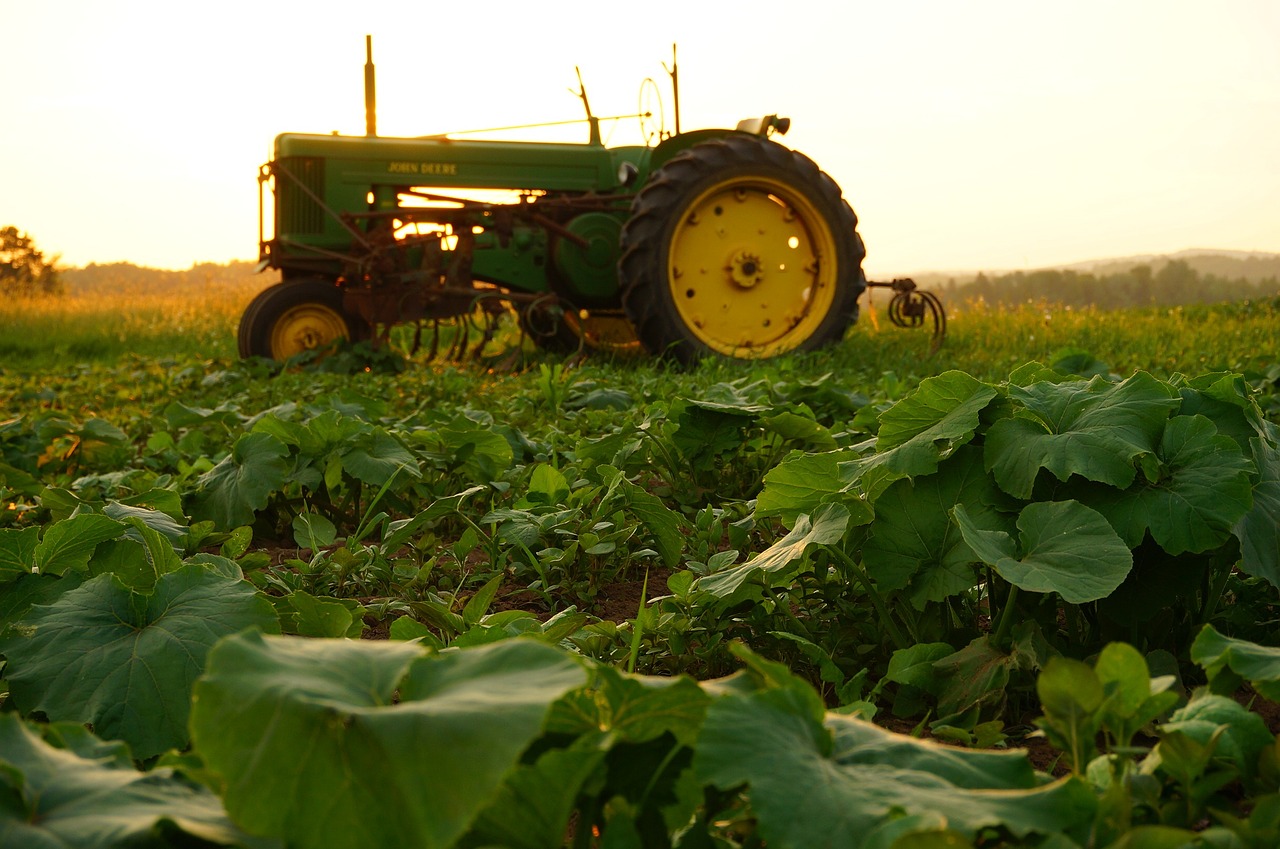 Nuovo corso Provincia di Prato: Agrimarketing - Toscana Formazione